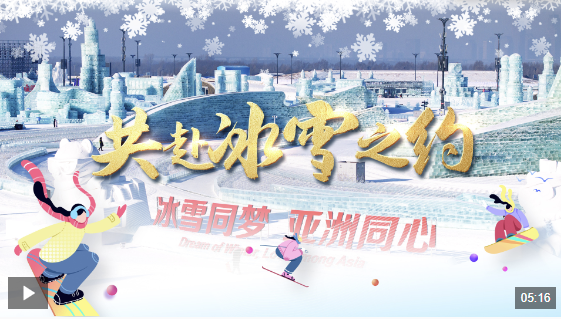 他们在弗里
